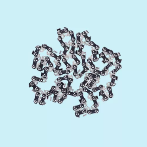 20260130115354_alysidesgiaalysopriona