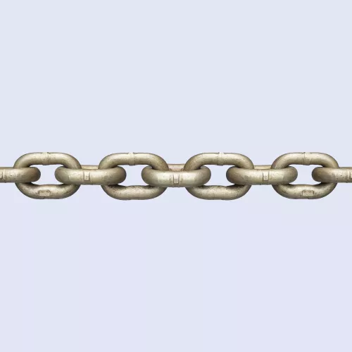 20260119140650_alysidesskafoys