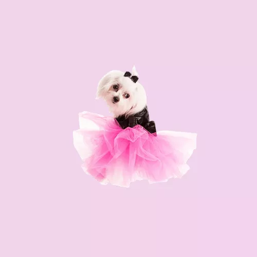 20260119150255_forematagiaskyloys