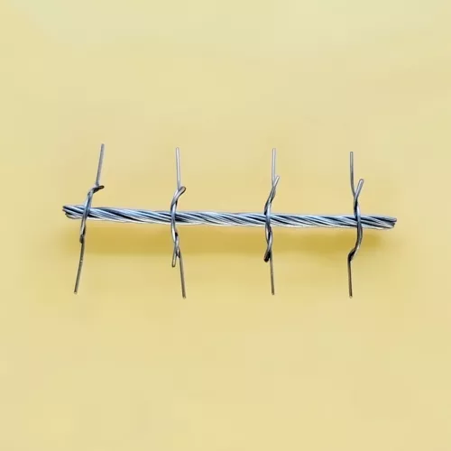 20260130115825_syrmatoplegmata