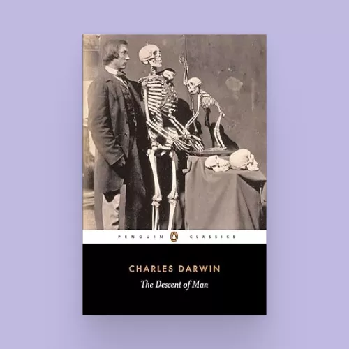 theoria-ekseliksis-7439