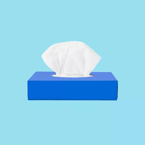 20260130105744_xartomanthla