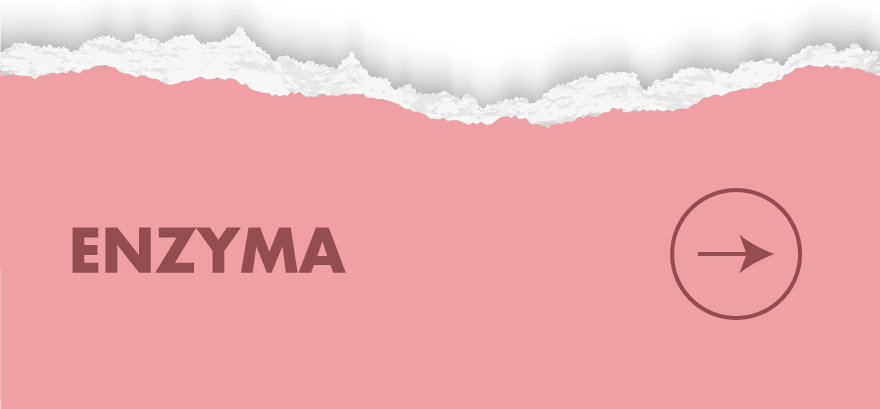 enzima banner