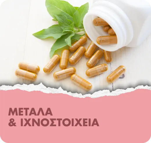 4-metalla-oixnostoixeia-banner.webp