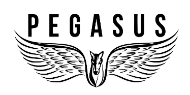 Pegasus Concept