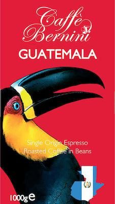 Καφές Bernini σε Κόκκο Μονοποικιλιακός Guatemala 1kg