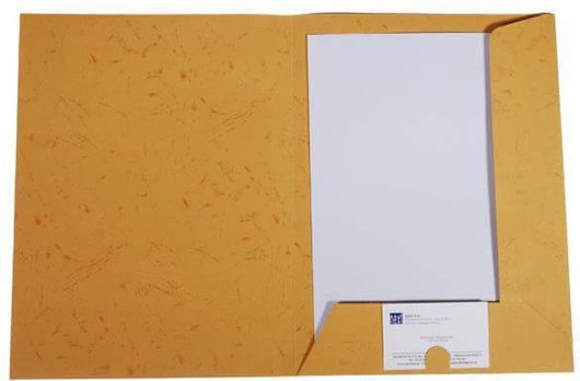 Νext Φάκελος Παρουσίασης (Folder) Skin Μουσταρδί Υ32x24cm