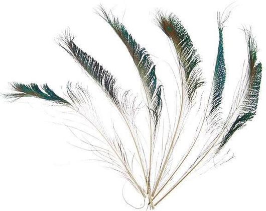 Φτερά Παγωνιού Μήκος 30-35cm Συσκ. 6 Τεμ. σε Blister