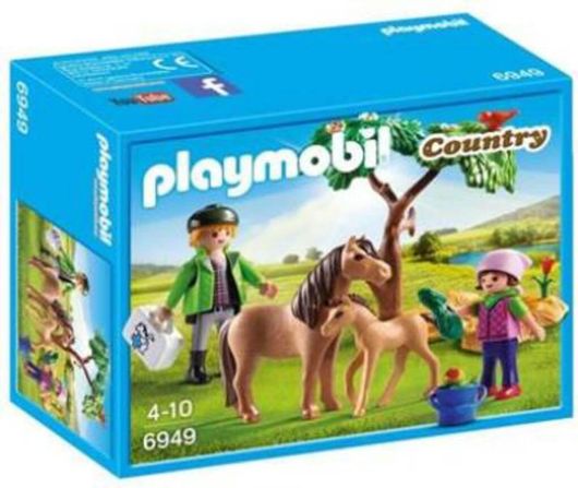 Playmobil Country Κτηνίατρος με Πόνυ και Πουλάρι για 4+Ετών