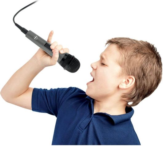 Μουσικό Παιχνίδι Music Star Μικρόφωνο Karaoke