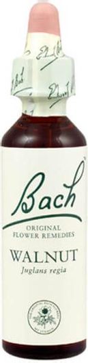 Ανθοϊάματα Bach Walnut No33 20ml