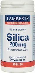 Lamberts Silica 200mg 90 Κάψουλες