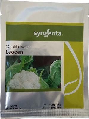 Κουνουπίδι Leocen Δυνατό Υγιές Φάκελος 2500 Σπόρων