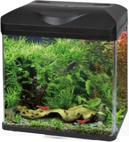 Ενυδρείο Ψαριών Croci Amtra Laguna 50 LED Χωρητικότητας 40lt με Φωτισμό 38x26x41.5cm Μαύρο