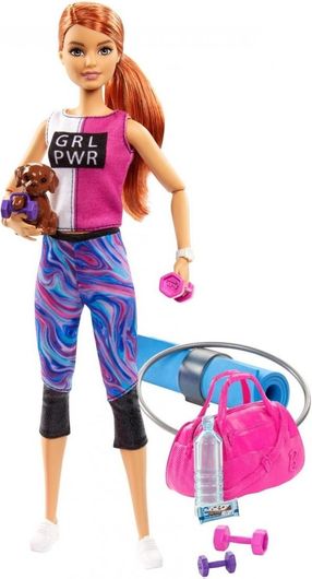 Barbie Wellness Fitness With Puppy And Accessories Gjg57