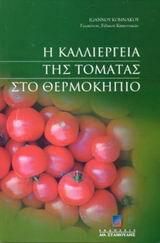 Η καλλιέργεια της τομάτας στο θερμοκήπιο