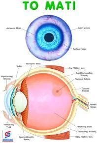 Το Μάτι