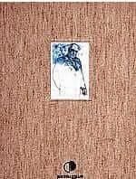 Άνθη της Πέτρας