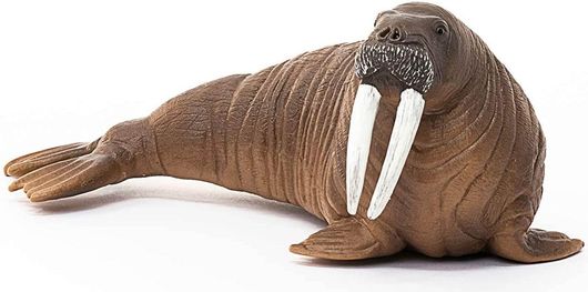 Παιχνίδι Μινιατούρα Θαλάσσιο Λιοντάρι Schleich Wild Life 14803 Walrus