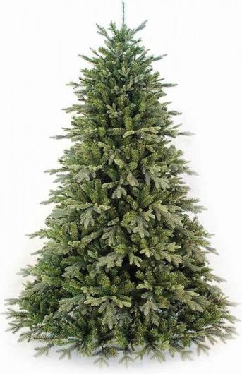 Χριστουγεννιάτικο Δέντρο OEM Deaware Silver Fir 2.40 Μέτρα Πράσινο