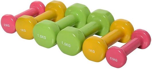 Σετ Βαράκια HomCom με Βαλίτσα 0.5kg 1kg 1.5kg