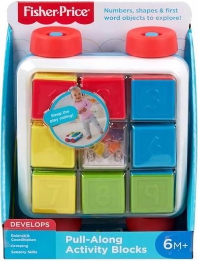 Εκπαιδευτικά Τουβλάκια Pull-Along για 6+ Μηνών 9τμχ Fisher Price GJW10