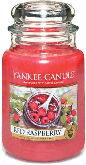 Αρωματικό Κερί Yankee Candle σε Βάζο Red Raspberry 10.7x16.8cm 623gr