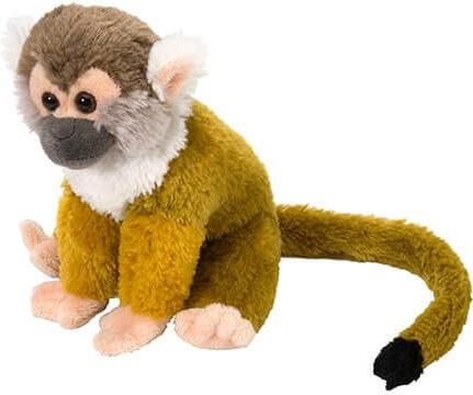 Λούτρινο Squirrel Money 20cm για 3+ Ετών Wild Republic KM-12303