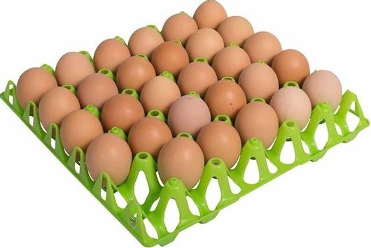 Πλαστική Αυγοθήκη Copele Χωρητικότητας 30 Αυγών