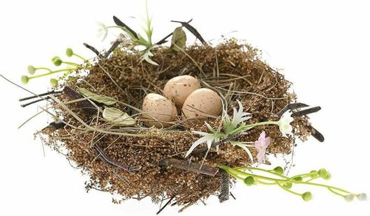 Φωλιά Iliadis με Αυγά 13x13x6cm Κίτρινα