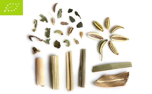 Τσάï Θηλασμού Organic Tea 100gr