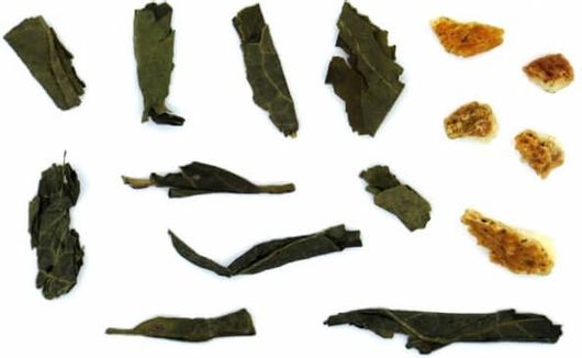 Τσάι Tearoute Άνθος της Πέτρας Βιολογικό 50gr