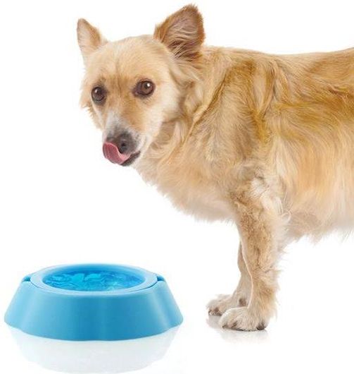 Μπολ Νερού για Κατοικίδια My Pet Frosty Bowl