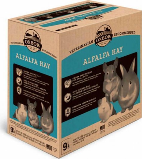 Τροφή Τρωκτικού Oxbow Χόρτο Alfalfa Hay 4kg