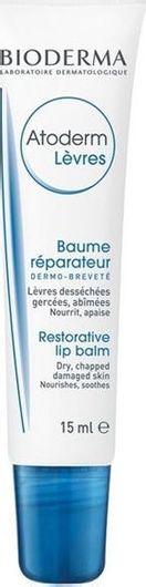 Lip Balm Bioderma Atoderm Levres Baume Reparateur 15ml