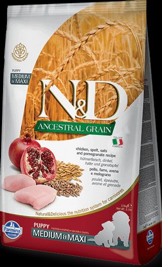 Ξηρά Τροφή Farmina 2.5kg για Κουτάβια Μεσαίων & Μεγαλόσωμων Φυλών με Λίγα Σιτηρά με Κοτόπουλο Ρόδι 