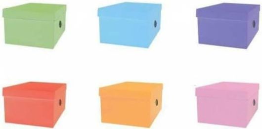 Κουτί Αποθήκευσης The Littlies με Καπάκι 24x33x18