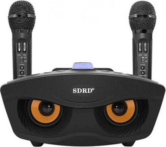 Σύστημα Karaoke με Ασύρματα Μικρόφωνα SD-306 Μαύρο