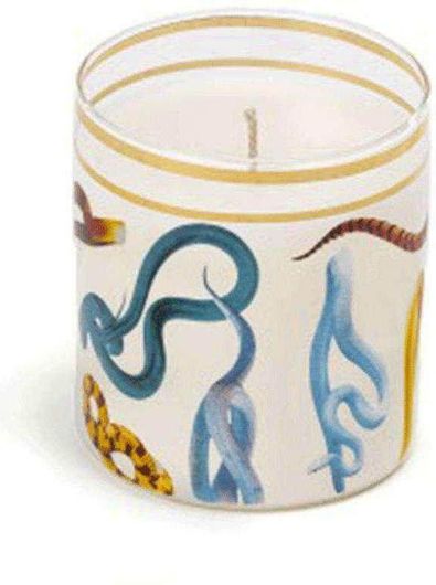 Κερί Seletti σε Βάζο Snakes 14083 8x8.5cm Muti