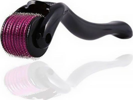 Συσκευή Περιποίησης Προσώπου Derma Roller με 540 Ακίδες 0.50mm