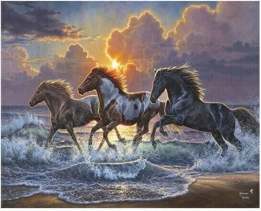 Ζωγραφική με Αριθμούς Τελάρο 40x50cm Horse Trio