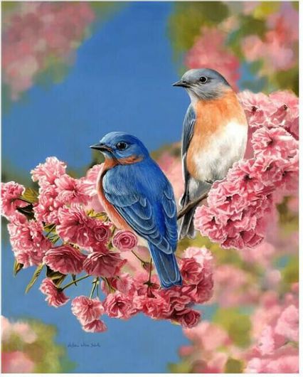 Ζωγραφική με Αριθμούς Τελάρο 40x50cm Bluebirds