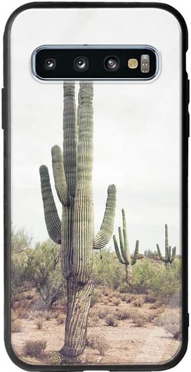 Θήκη Κινητού Back Cover για Samsung Galaxy S10 Plus - Groove TPU - Desert Cactus