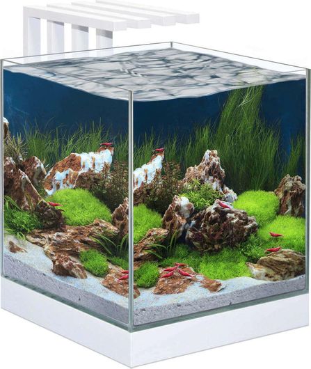 Ενυδρείο Ψαριών Ciano Nexus Pure 25 29x33.8x38cm 22l Λευκό