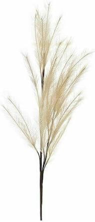 Κλαδί Pampas Iliadis Καφε 110cm