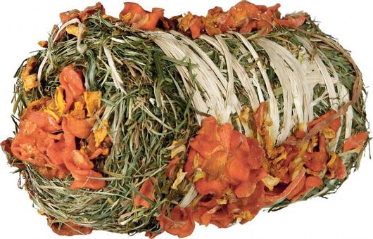 Τροφή Τρωκτικών Trixie Μπάλα Σανό με Κολοκύθα & Καρότο 10x18cm για Ινδικό Χοιρίδιο 200gr