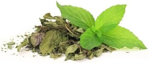 Μέντα Herbstore 40gr