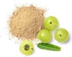 Ακακία Herbstore Βιολογική 500gr