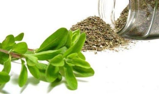 Μαντζουράνα Herbstore 1kg