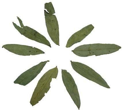 Σιναμική Herbstore 1kg